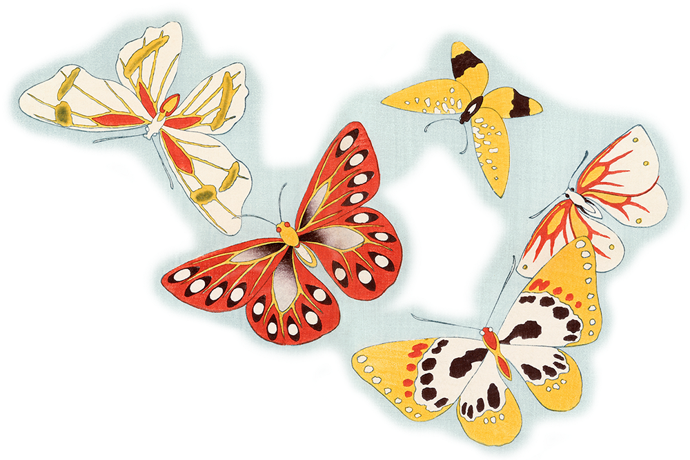 Illustration von Schmetterlingen als Symbol für Transformation und Klarheit durch mediale Lebensberatung.